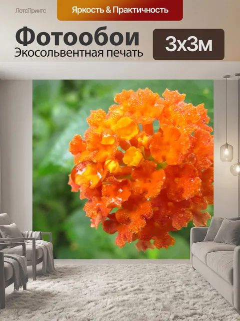 Фотообои Цветы