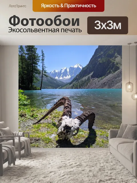 Фотообои Самолет