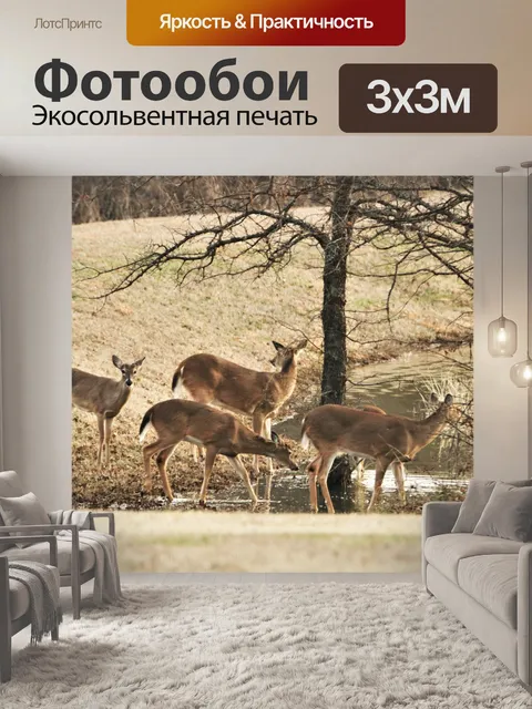 Фотообои Белохвостый олень у пруда зимой