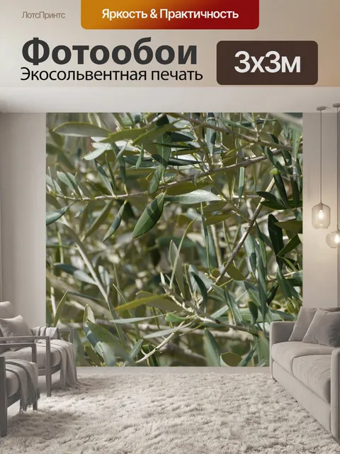 Фотообои Оливковый