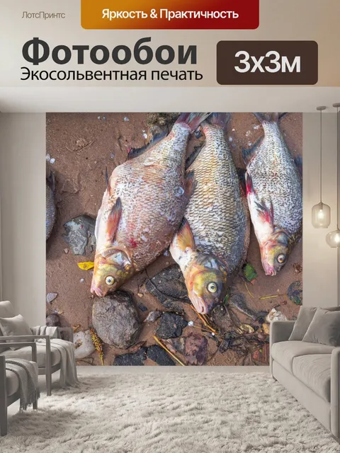 Фотообои Рыбы