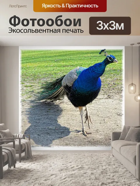 Фотообои Павлин