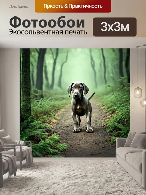 Фотообои щенок веймаранера, исследующий лесную тропу, с лёгким туманом между деревьями