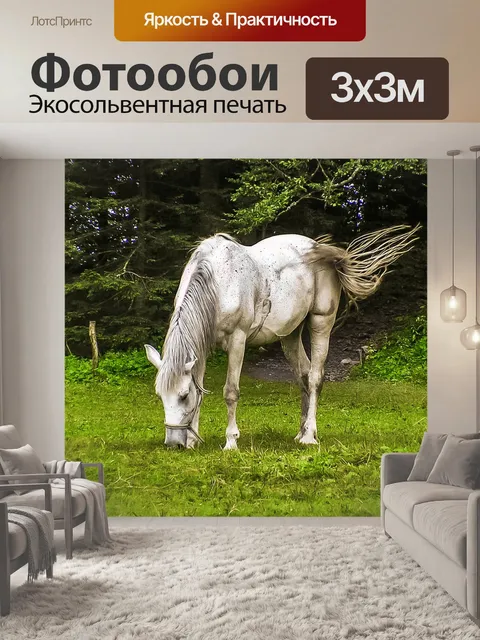 Фотообои Лошади
