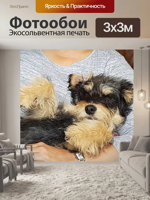 Фотообои Милый