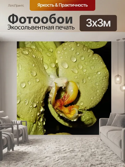 Фотообои Природа