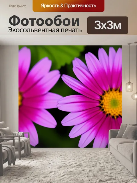 Фотообои цветы в крупных планах