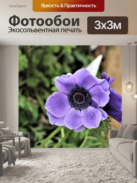Фотообои Цветок