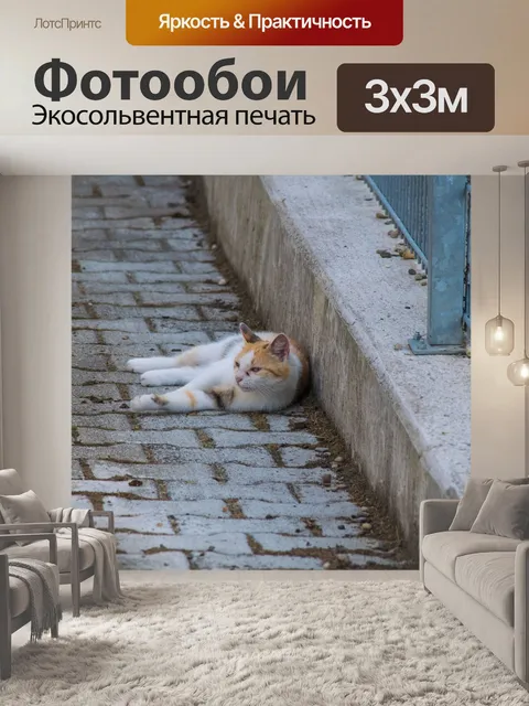 Фотообои Кошка