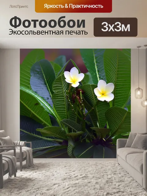 Фотообои Цветы белые пагоды 2