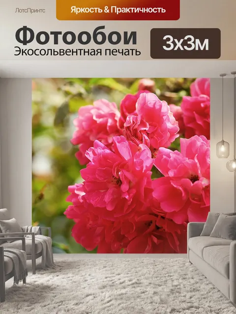 Фотообои Шиповник