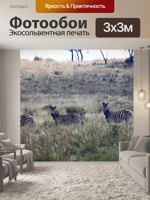 Фотообои три зебры на склоне