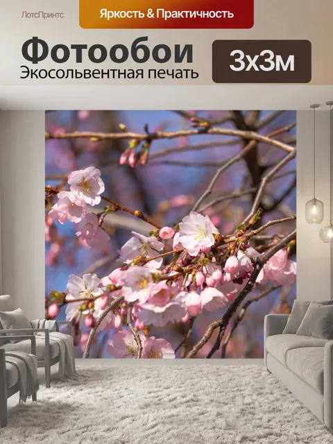 Фотообои Японская сакура