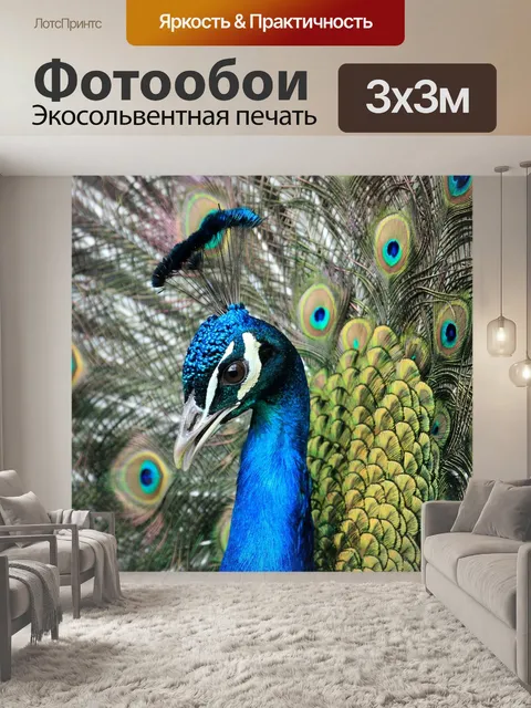 Фотообои Птица