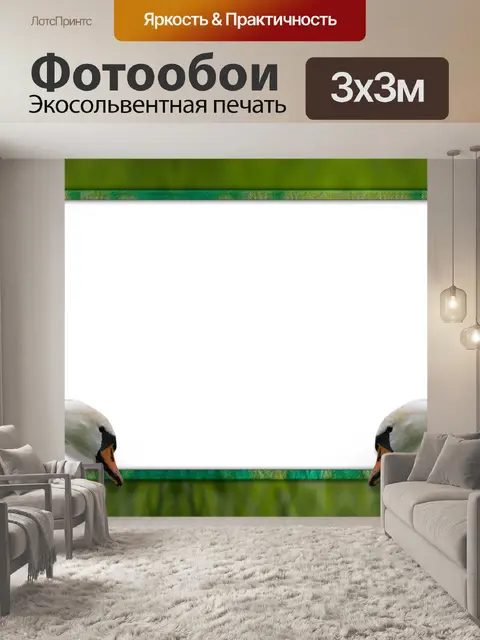Фотообои Рамка, лебедь