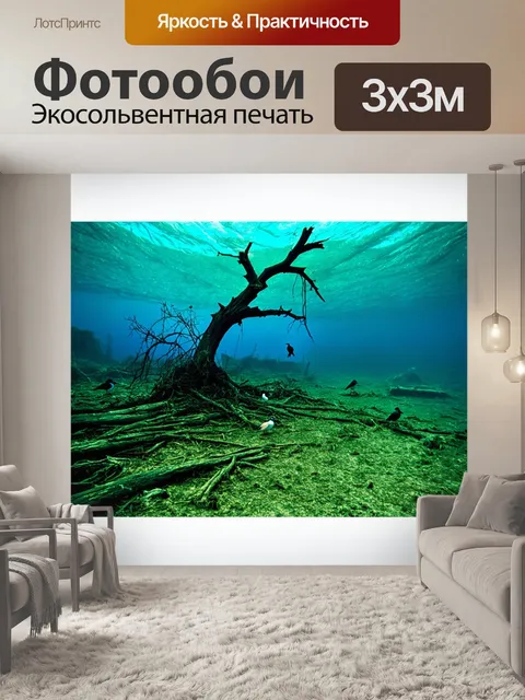 Фотообои заброшенный участок с сухим деревом, на котором живут птицы и другие мелкие существа