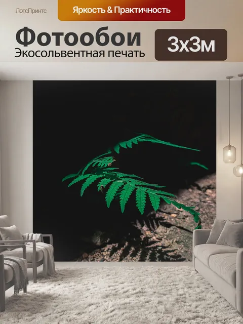 Фотообои Папоротник