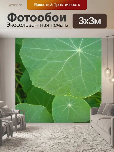 Фотообои Листья