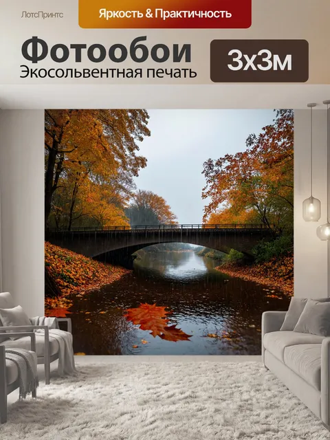 Фотообои осень небо становится серым