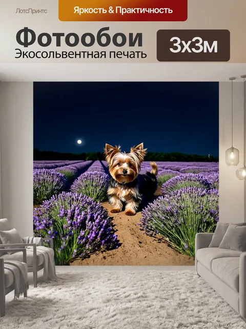 Фотообои йоркширский терьер, исследующий бескрайние поля лаванды, замер на мгновение, любуясь пурпурными цветами…