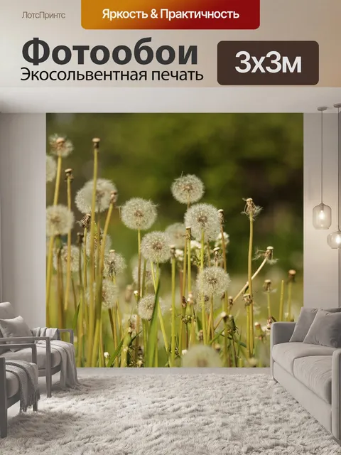 Фотообои Одуванчики