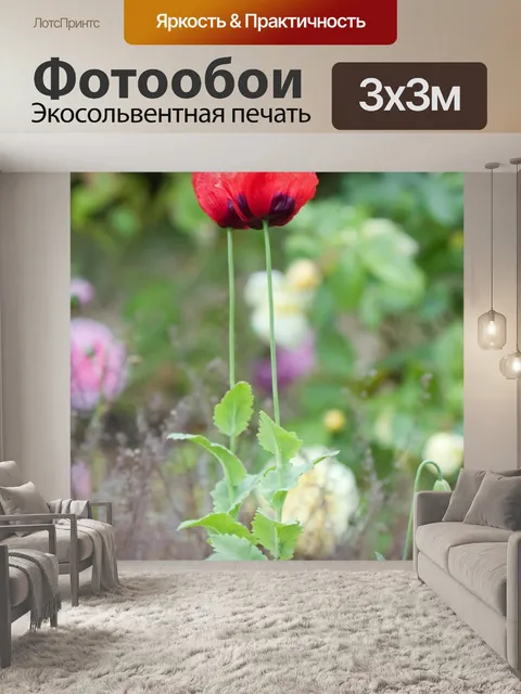 Фотообои Цветы в Луг