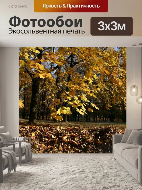 Фотообои Парк