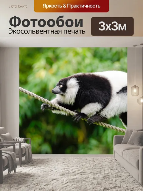 Фотообои Животное