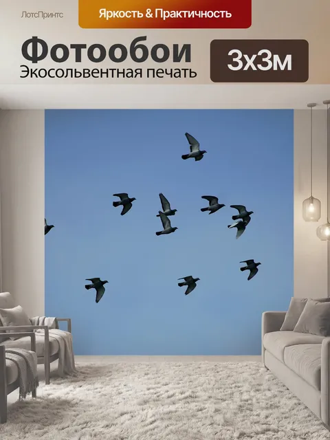 Фотообои Голуби