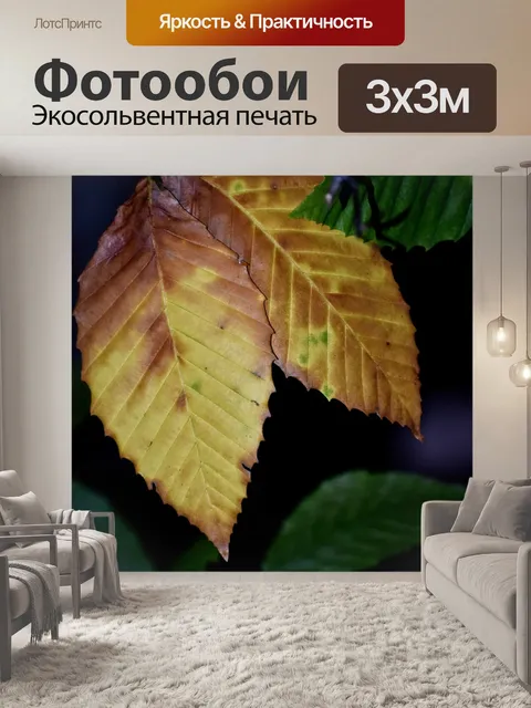 Фотообои Листья