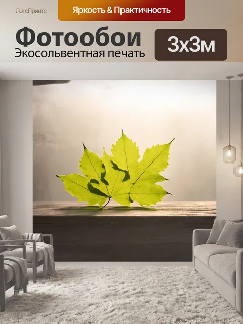 Фотообои листья, покрытые утренним туманом, аккуратно расположены на деревянной поверхности, образуя связку, которая…