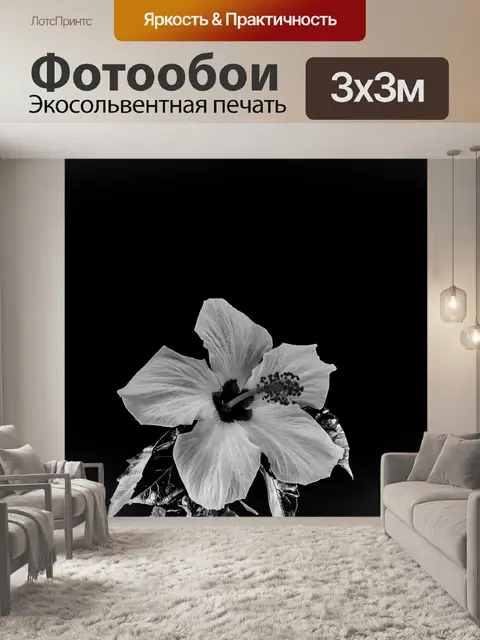 Фотообои Цветочный