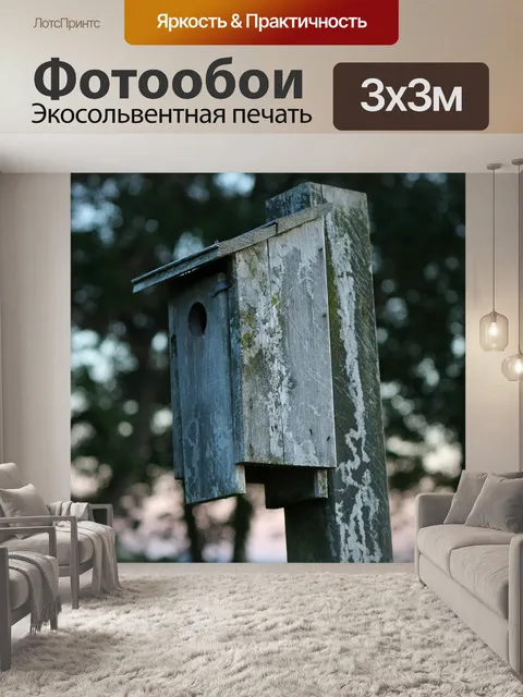 Фотообои Скворечник