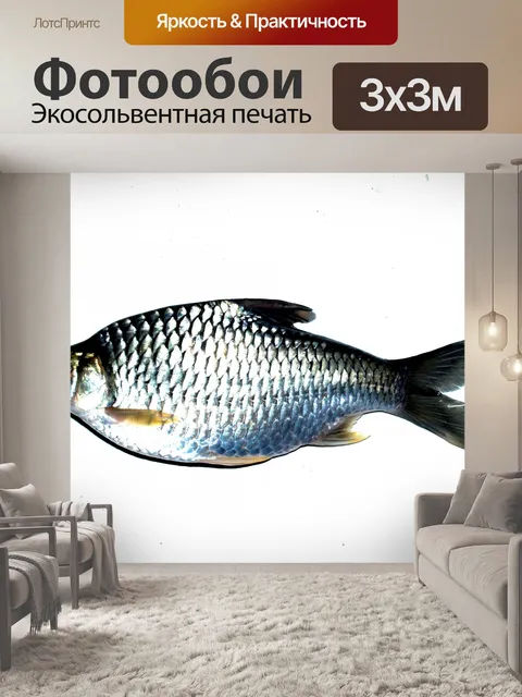 Фотообои Корм для пресноводных рыб