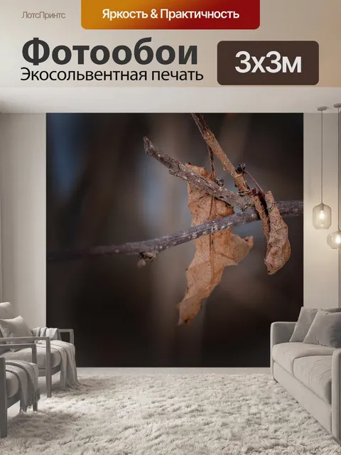 Фотообои Листья