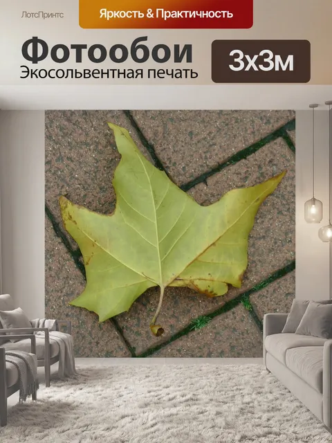 Фотообои Осенний лист