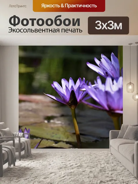 Фотообои Цветы