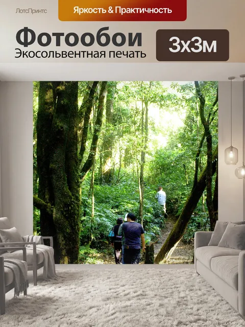 Фотообои Природа тропический лес дои Интанон наци