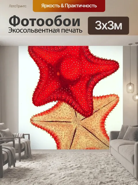 Фотообои Искусство старинной живописи морская зве