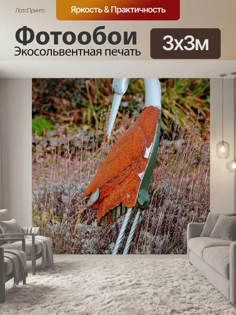 Фотообои Аист