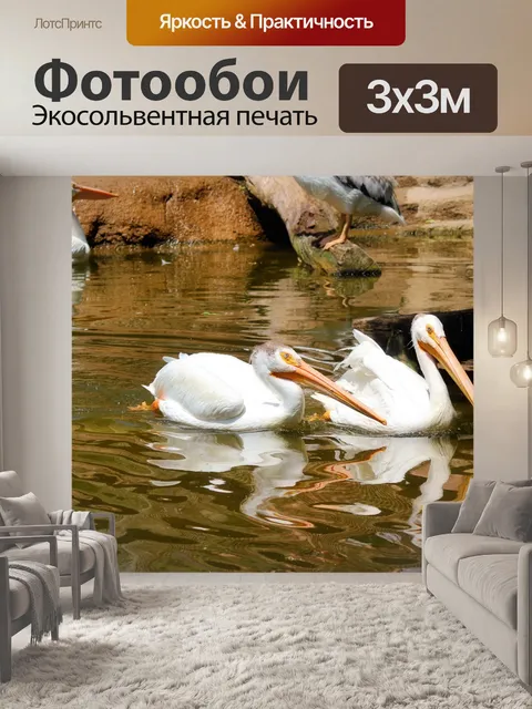 Фотообои Зоопарк Пеликаны