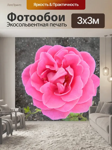 Фотообои Розы