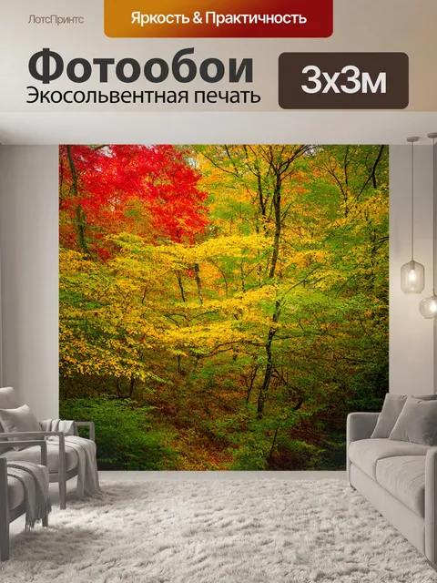 Фотообои яркий лес с красными, желтыми и зелеными листвой, поднимающимися вверх
