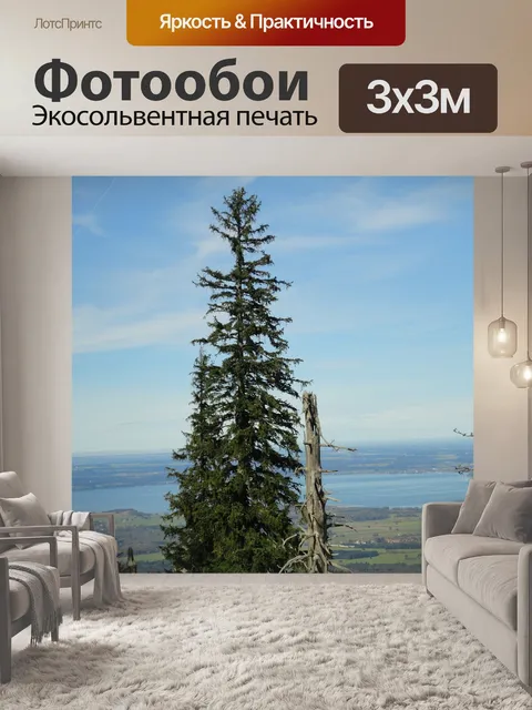 Фотообои Ель