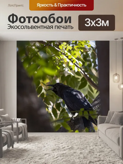 Фотообои Ворона каркает