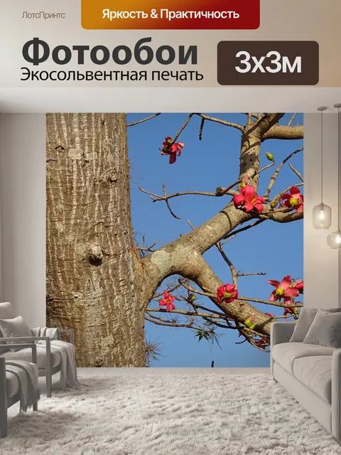 Фотообои Дерево