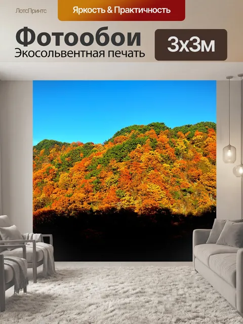 Фотообои Осень