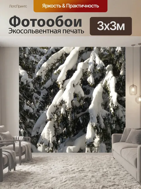 Фотообои Ель