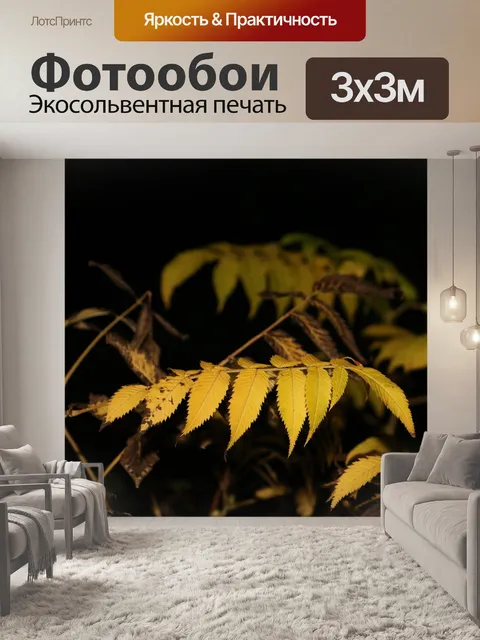 Фотообои Цветок