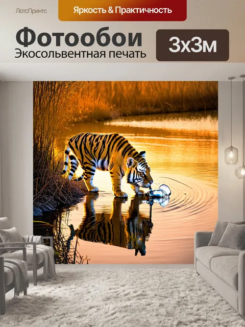Фотообои в вечерние часы на берегу реки, под светом заката, тигр пьёт воду, отражаясь в её поверхности